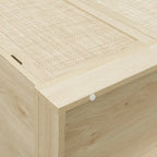 4-Door Rattan Storage Cabinet with Drawer and Adjustable Shelves